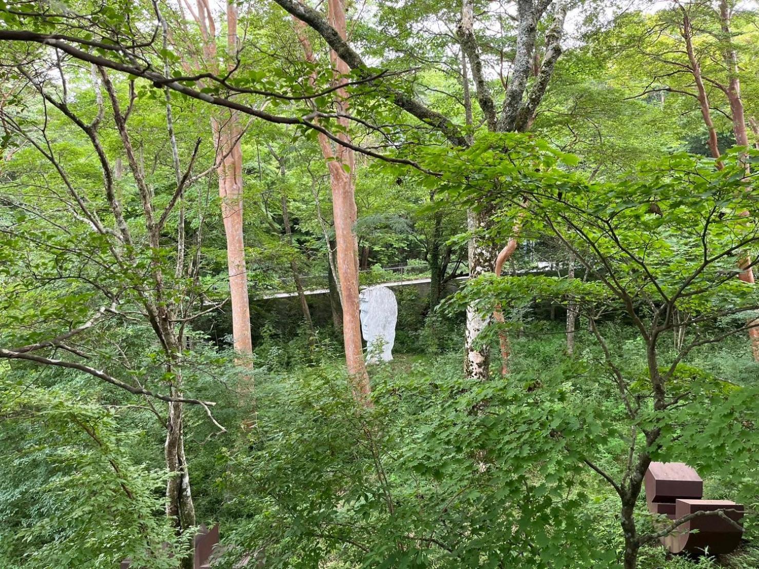 Fuji-Hakone Guest House Exterior foto