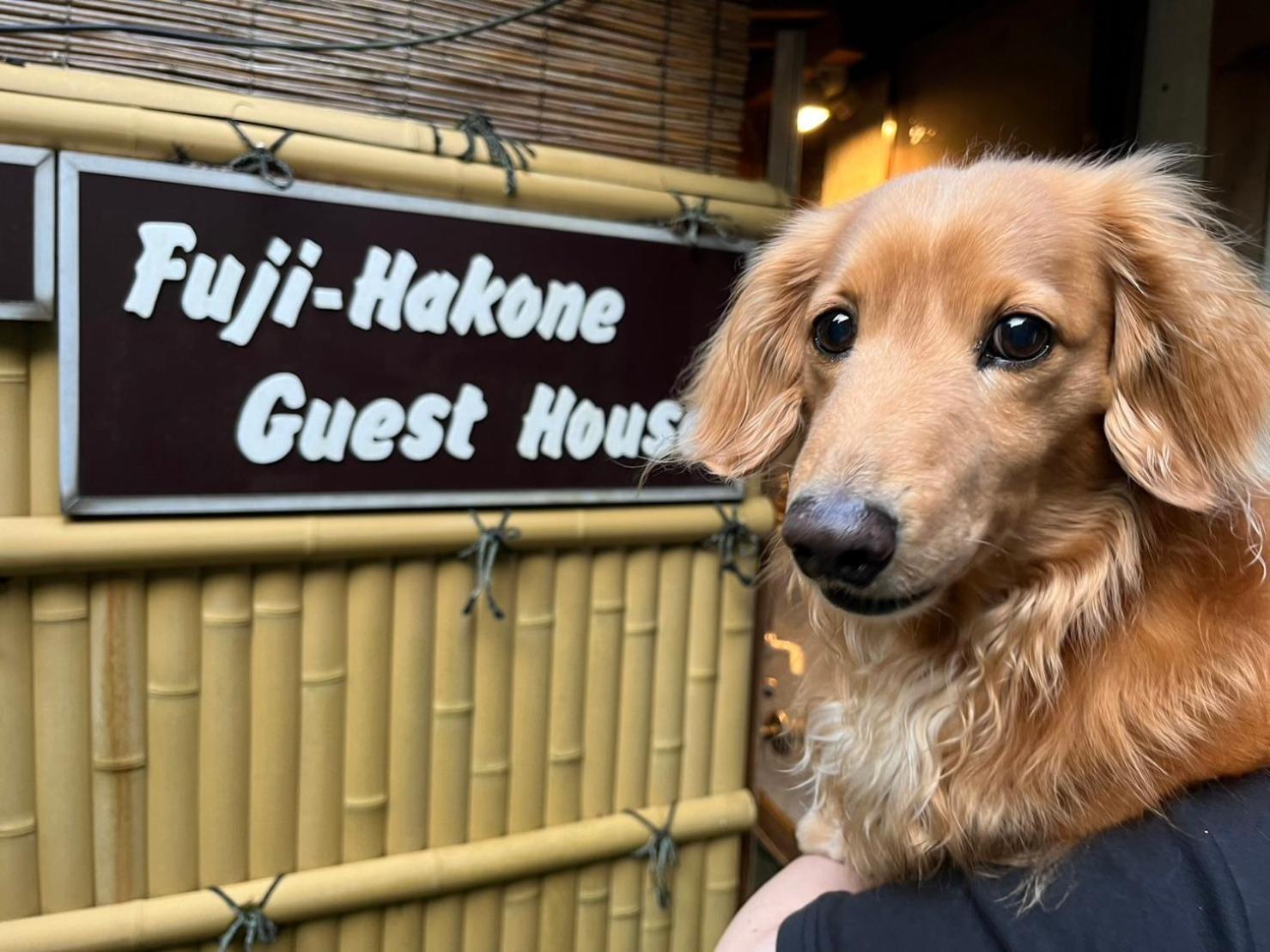 Fuji-Hakone Guest House Exterior foto